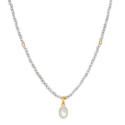 NEW! Labradorite & Rainbow Moonstone Charm Necklace